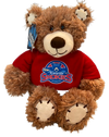 Stitchez Bear
