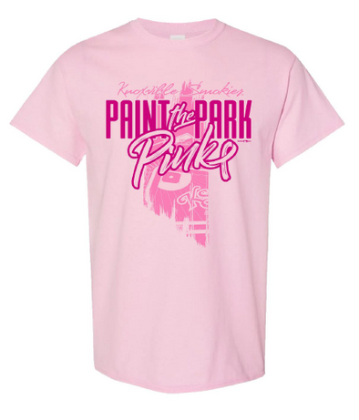 Paint the Park Pink Tee PRE-ORDER