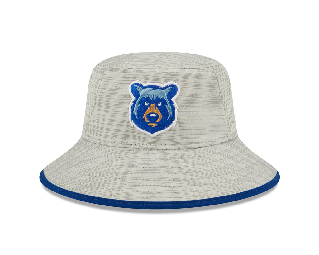 Tennessee smokies new era 2025 hat